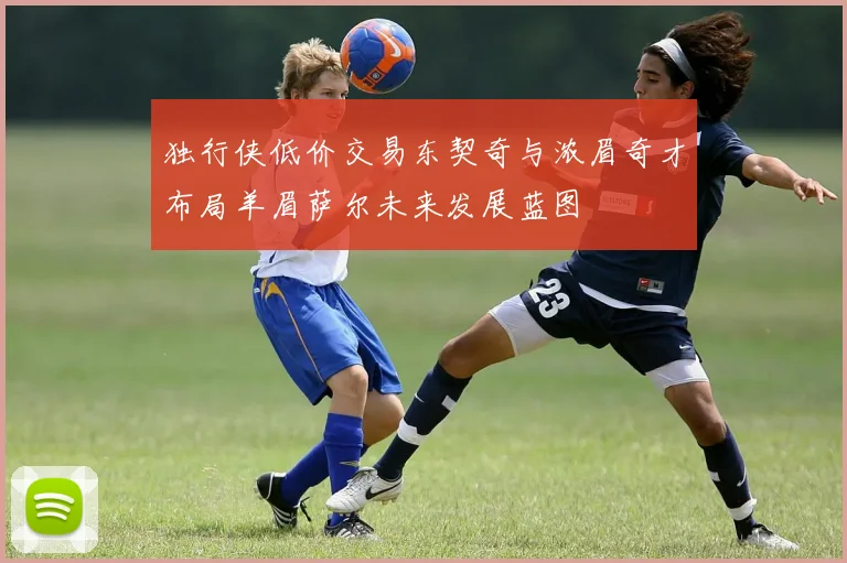 独行侠低价交易东契奇与浓眉奇才布局羊眉萨尔未来发展蓝图